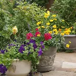 The Madeleine Bed & Breakfast Inn